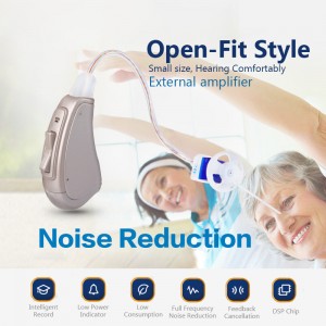 BTE Digital RIC Hearing Aid Open Fit Style